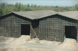 Monsoon Shed